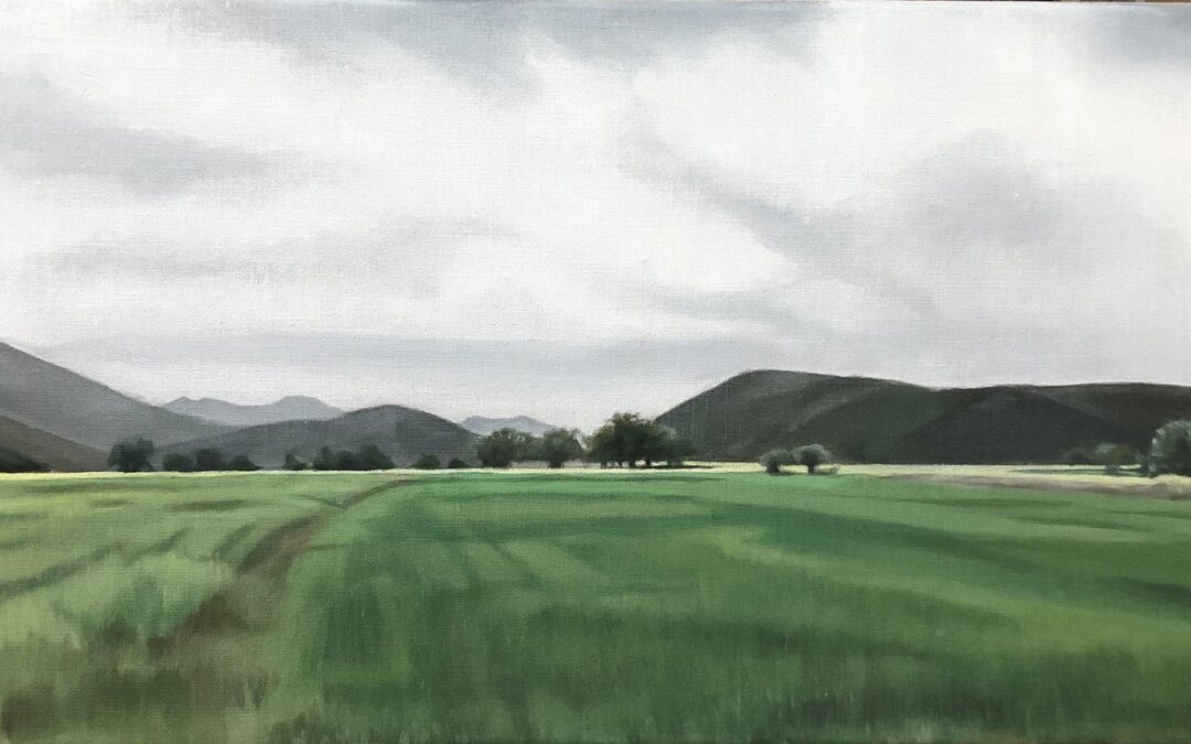 LANDSCAPE 8
