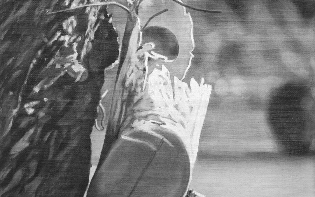 Landscape_a_closer_and_a_larger_view_10