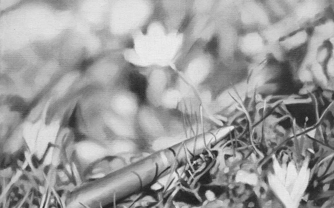 Landscape_a_closer_and_a_larger_view_18